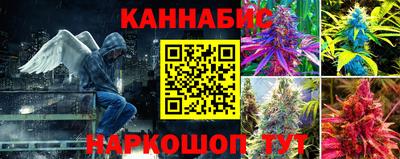стафф Славянск-на-Кубани