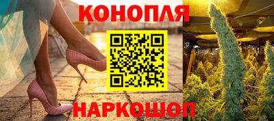 крисы Сланцы