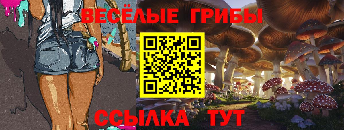 Галлюциногенные грибы мухоморы Новочебоксарск