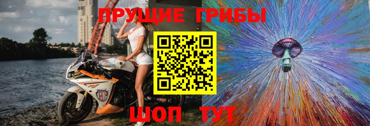 Новочебоксарск  Галлюциногенные грибы мицелий  Вход с VPN 